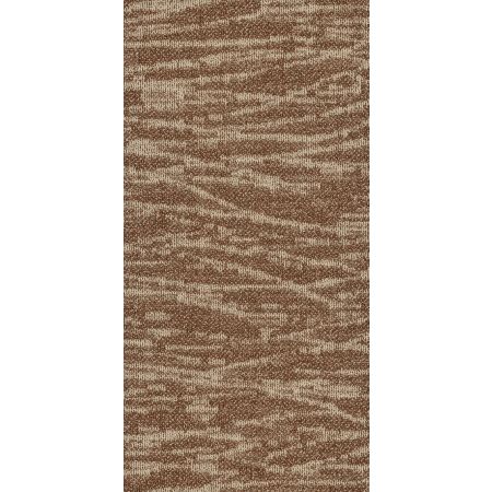 Philadelphia Commercial MODERN TERRAIN Tidewater Mesa