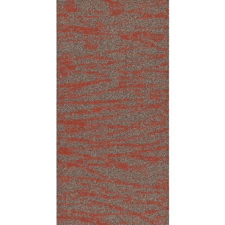 Philadelphia Commercial MODERN TERRAIN Tidewater Miombo