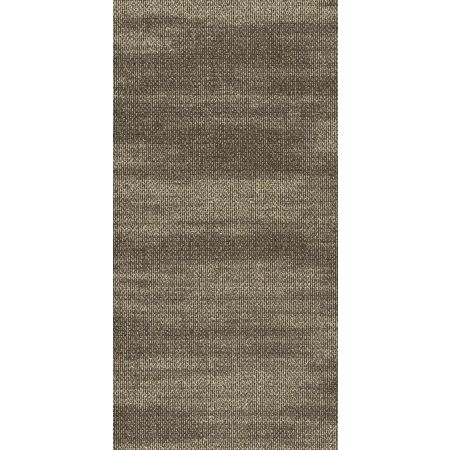 Philadelphia Commercial NATURAL FORMATIONS Ridges Aragonite