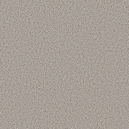 Shaw Floors FOUNDATIONS Elemental Mix I Pixels