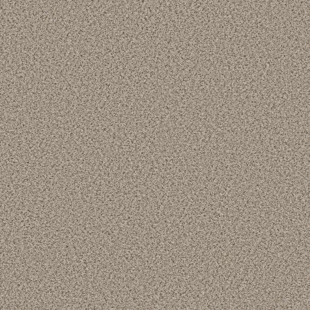 Shaw Floors FOUNDATIONS Elemental Mix I Horizon