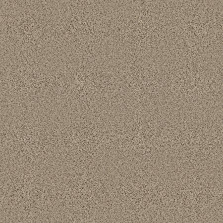 Shaw Floors FOUNDATIONS Elemental Mix I Sand Castle