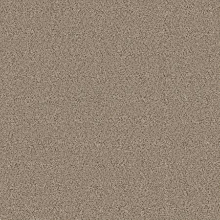 Shaw Floors FOUNDATIONS Elemental Mix I Twine