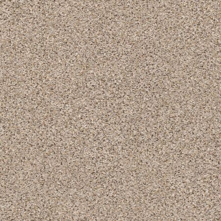 Shaw Floors FOUNDATIONS Elemental Mix I Acreage