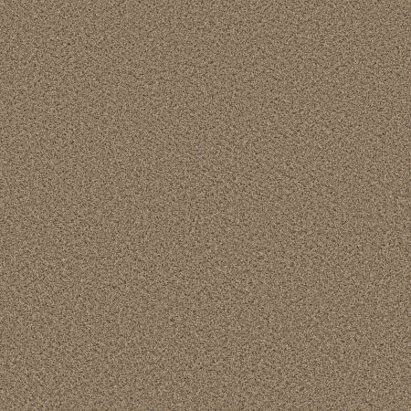 Shaw Floors FOUNDATIONS Elemental Mix I Bridle Leather