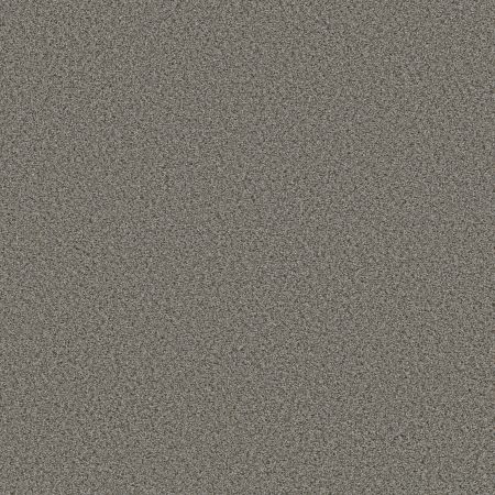 Shaw Floors FOUNDATIONS Elemental Mix I Antique Pin