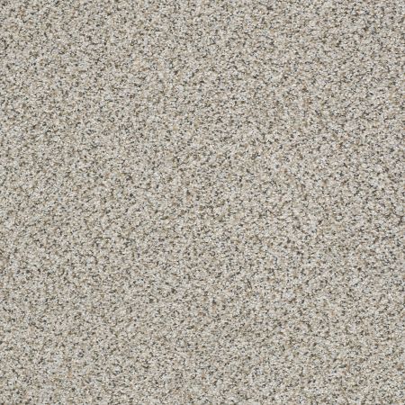 Shaw Floors FOUNDATIONS Elemental Mix I Silver Lining