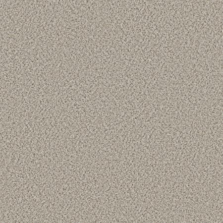 Shaw Floors FOUNDATIONS Elemental Mix II Swiss Coffee