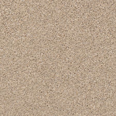 Shaw Floors FOUNDATIONS Elemental Mix II Twine