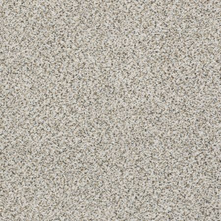 Shaw Floors FOUNDATIONS Elemental Mix II Snowbound