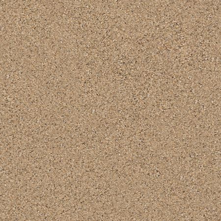 Shaw Floors FOUNDATIONS Elemental Mix II Bridle Leather