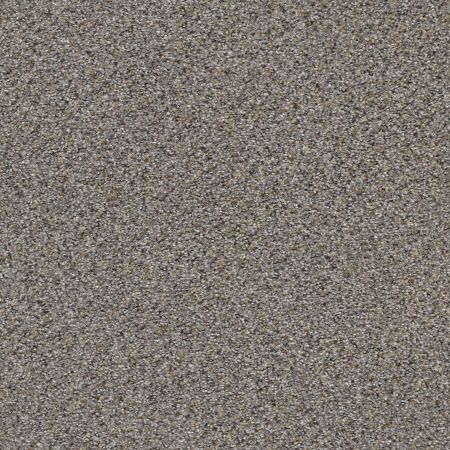 Shaw Floors FOUNDATIONS Elemental Mix II Antique Pin