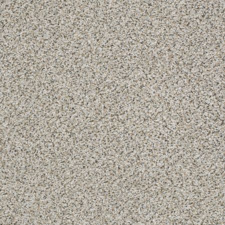 Shaw Floors FOUNDATIONS Elemental Mix II Silver Lining