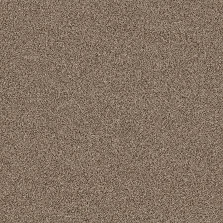 Shaw Floors FOUNDATIONS Elemental Mix II Arrowhead