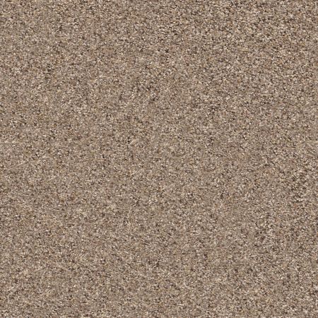 Shaw Floors FOUNDATIONS Elemental Mix II Cobble Drive