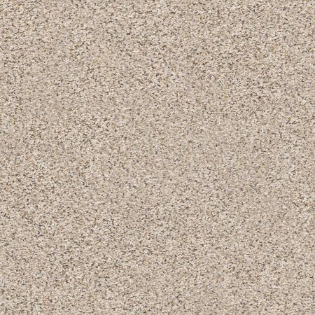 Shaw Floors FOUNDATIONS Elemental Mix III Gentle Rain