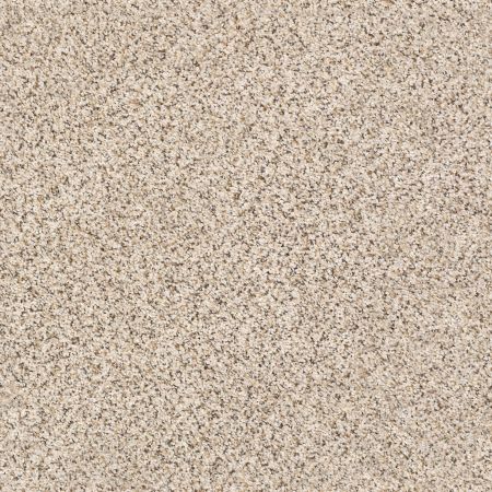 Shaw Floors FOUNDATIONS Elemental Mix III Horizon