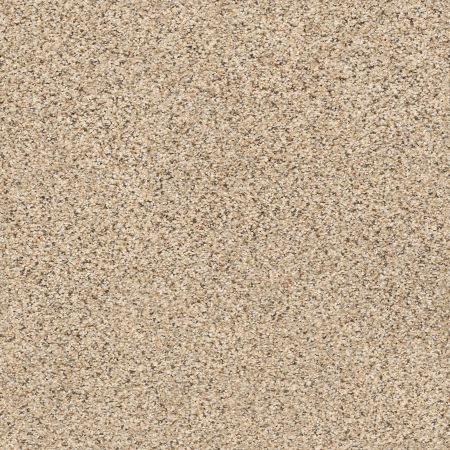 Shaw Floors FOUNDATIONS Elemental Mix III Sand Castle