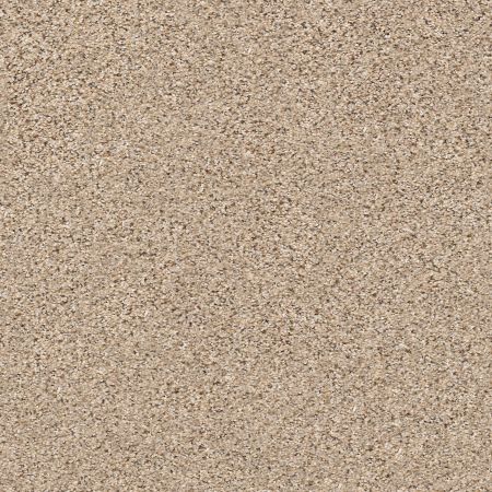 Shaw Floors FOUNDATIONS Elemental Mix III Twine