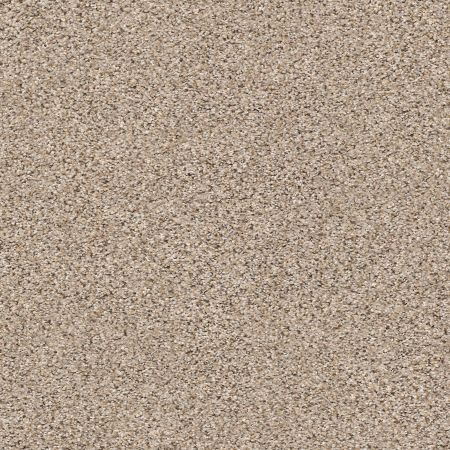 Shaw Floors FOUNDATIONS Elemental Mix III Acreage