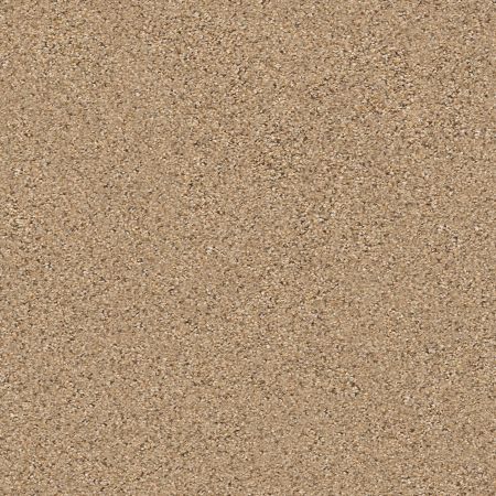 Shaw Floors FOUNDATIONS Elemental Mix III Bridle Leather
