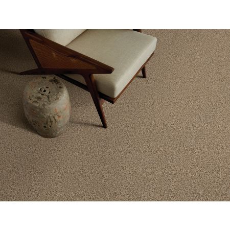 Shaw Floors FOUNDATIONS Elemental Mix III Bridle Leather