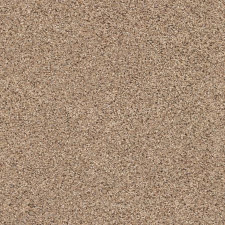 Shaw Floors FOUNDATIONS Elemental Mix III Arrowhead