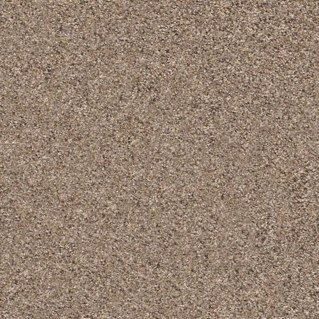 Shaw Floors FOUNDATIONS Elemental Mix III Cobble Drive