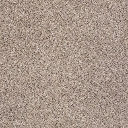 Shaw Floors FOUNDATIONS Take The Floor Accent I Everest