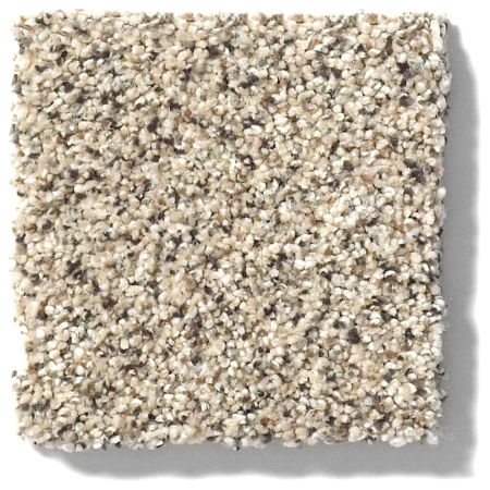 Shaw Floors FOUNDATIONS Take The Floor Accent II Luna