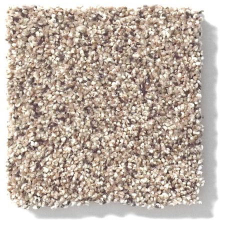 Shaw Floors FOUNDATIONS Take The Floor Accent II Everest