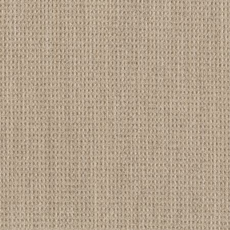 Shaw Floors Foundations NATURAL BOUCLE 15 Beach