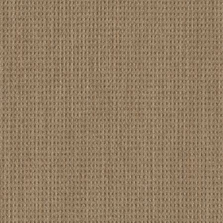 Shaw Floors Foundations NATURAL BOUCLE 15 Jute