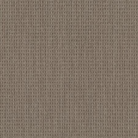 Shaw Floors Foundations NATURAL BOUCLE 15 Slate