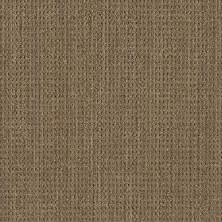 Shaw Floors Foundations NATURAL BOUCLE 15 Wicker