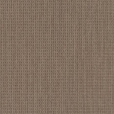 Shaw Floors Foundations NATURAL BOUCLE 15 Driftwood