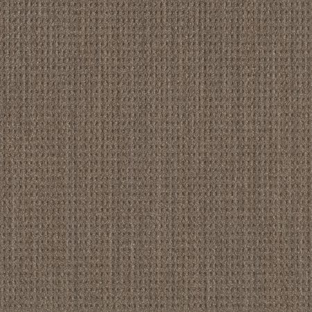 Shaw Floors Foundations NATURAL BOUCLE 15 Stone