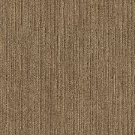 Shaw Floors Foundations NATURAL BALANCE 15 Sisal