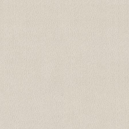 Shaw Floors FOUNDATIONS Insightful Way Crisp Linen