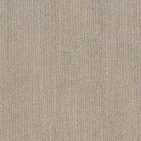 Shaw Floors FOUNDATIONS Insightful Way Studio Taupe