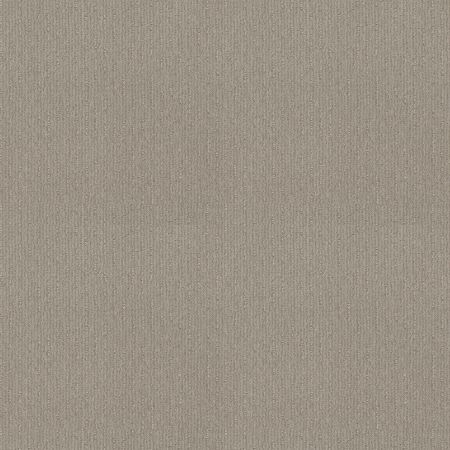 Shaw Floors FOUNDATIONS Insightful Way Quiet Moment