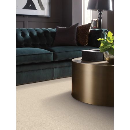 Shaw Floors FOUNDATIONS Insightful Way Alabaster