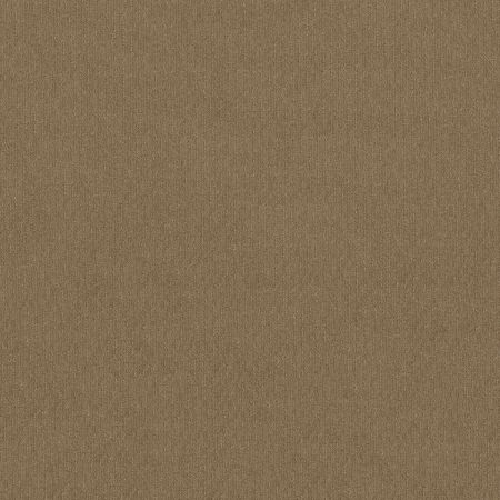 Shaw Floors FOUNDATIONS Insightful Way Gold Rush