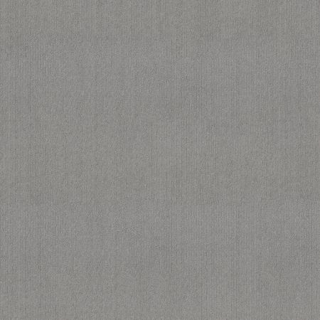 Shaw Floors FOUNDATIONS Insightful Way Silver Springs