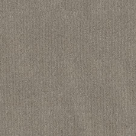 Shaw Floors FOUNDATIONS Insightful Way Silhouette