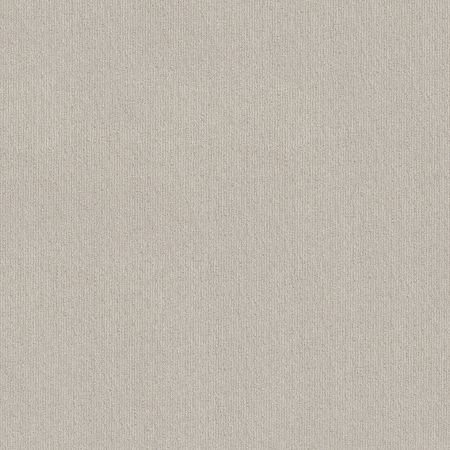 Shaw Floors FOUNDATIONS Insightful Way Rock Crystal