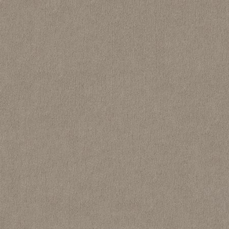 Shaw Floors FOUNDATIONS Insightful Way Park Avenue