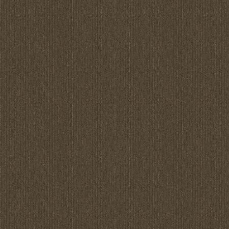 Shaw Floors FOUNDATIONS Insightful Way Antique Chest