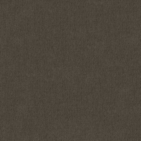 Shaw Floors FOUNDATIONS Insightful Way Iron Gate