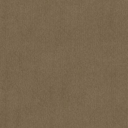 Shaw Floors FOUNDATIONS Insightful Way Summerville